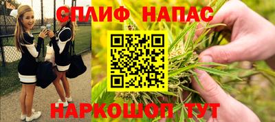 гашик Гай