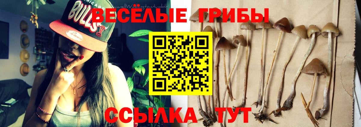 Киреевск  Галлюциногенные грибы MAGIC MUSHROOMS  Вход с VPN 